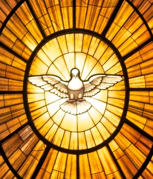 Guest of the Lamb • Breaking open the word