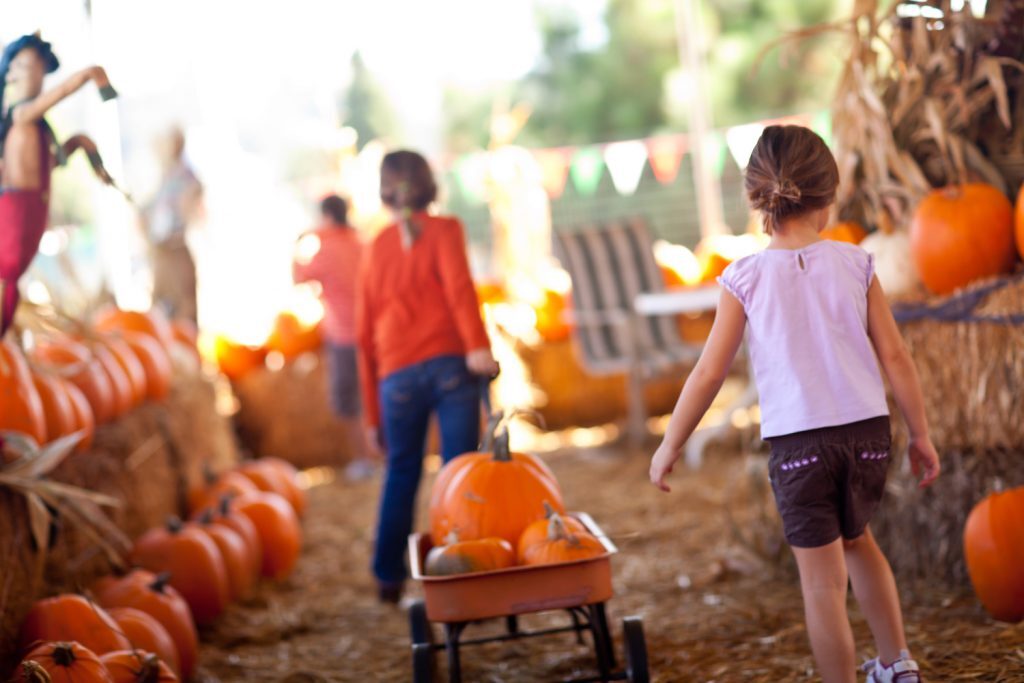All Saints’ Day, Halloween, and fall fun